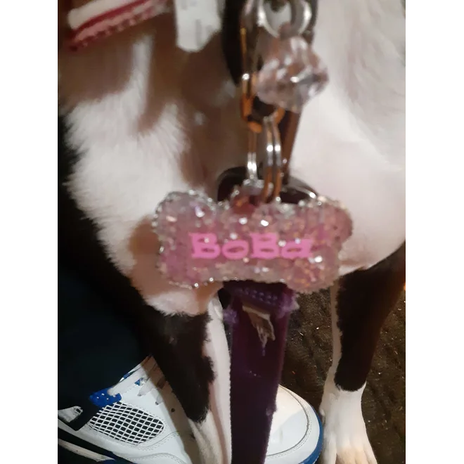 Additional Image for Pet Name Tags