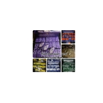 Dominoes with Matching Box