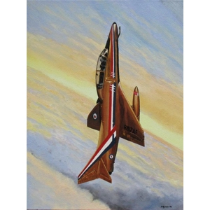 RNZAF Golden Skyhawk