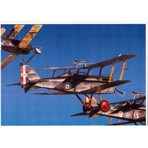 Se5a formation over Hood Aerodrome