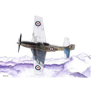 RNZAF P-51D Mustang TAF No.4 Sqdn Otago