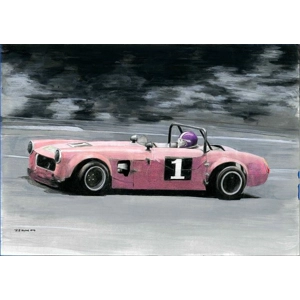 Tom Donovan Turbo Sprite