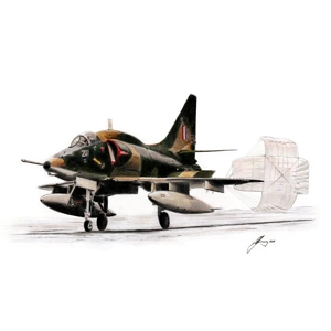 RNZAF Skyhawk 6207 landing