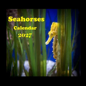 Seahorse Calendar 2027 Seahorses Picture Calendar