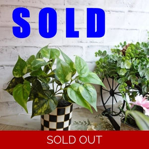 Checked Flower Pot Artificial Pothos Courtly Decor