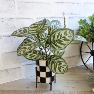 Checked Planter & Greenery Prayer Plant Ensemble