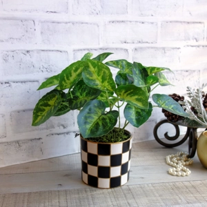 Artisan Checked Potted Arrowhead Foliage