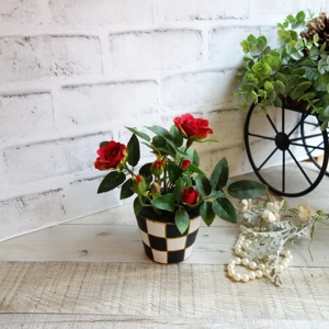 Checked Flower Pot Mini Roses Checked Courtly Decor