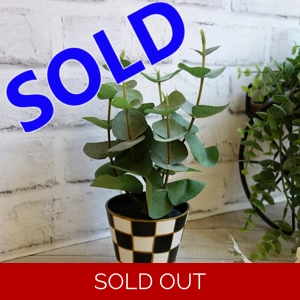 Checked Spring Decor Potted Greenery Eucalyptus