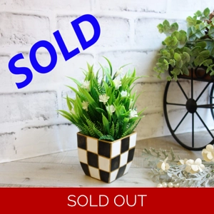 Checked Flower Pot Star of Bethlehem Courtly Flower Decor