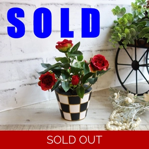 Checked Flower Pot Mini Roses Checked Decor