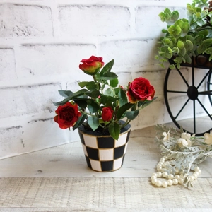 Checked Flower Pot Mini Roses Checked Decor