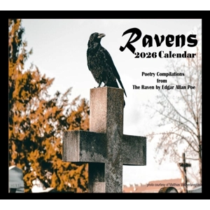 Ravens Calendar 2026 Crow Calendar 2026