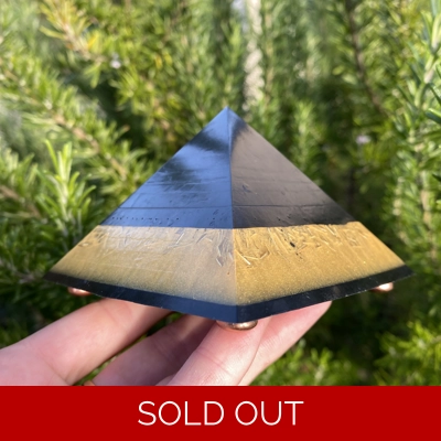 1 Abundance Orgoni..