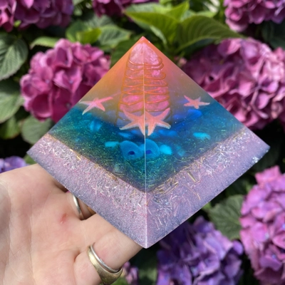 1 Starfish Shell O..