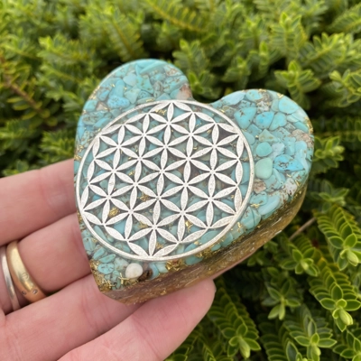 Turquoise seed of ..