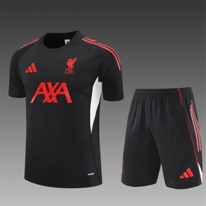 Liverpool training set