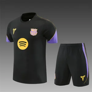 Barcelona training set