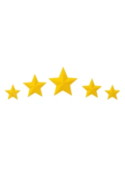 Customer Reviews