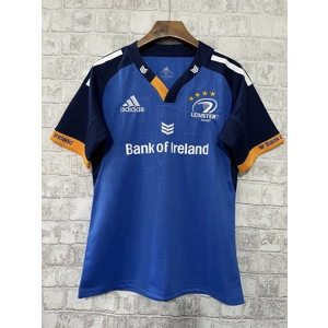Leinster home