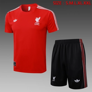 Liverpool training set