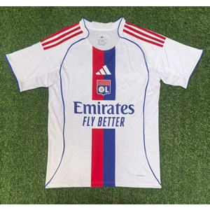 Lyon home