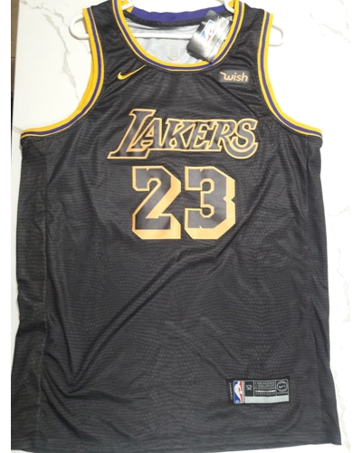 Lebron James Vintage Laker Jersey Original