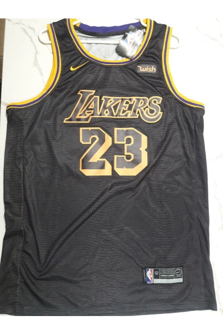 Lebron James Vintage Laker Jersey Original