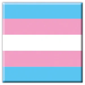 Trans Flag