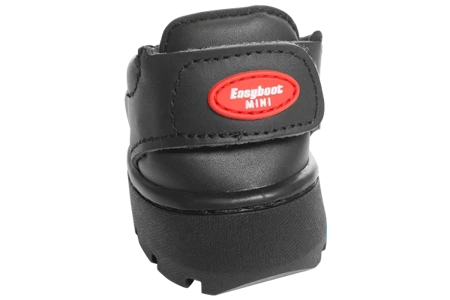 Easy Boot Mini (single)
