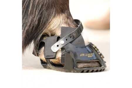 Scoot Classic Hybrid Gaitors
