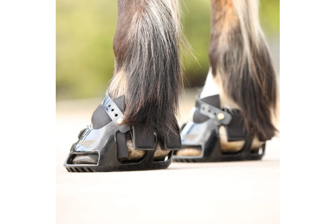 Scoot Classic Hybrid Gaitors