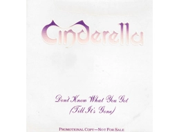 Cinderella 3 ‎– Don't Know What You Got Till It's Gone - US 1 Track Promotional CD Single In Custom Sleeve