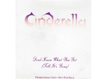 Cinderella 3 ‎– Don't Know What You Got Till It's Gone - US 1 Track Promotional CD Single In Custom Sleeve