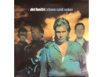 Del Amitri ‎– Stone Cold Sober - UK 2 Track 7" Black Vinyl In Picture Sleeve