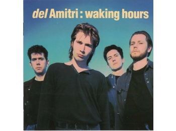 Del Amitri ‎– Waking Hours - UK 1st Issue 10 Track CD