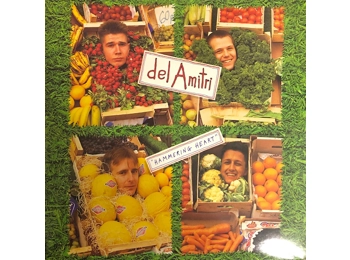 Del Amitri ‎– Hammering Heart - UK 2 Track 7" Black Vinyl In Picture Sleeve