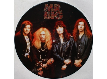 Mr Big ‎– Green Tinted Sixties Mind - UK Limited Edition 3 Track 12" Picture Disc In PVC Sleeve