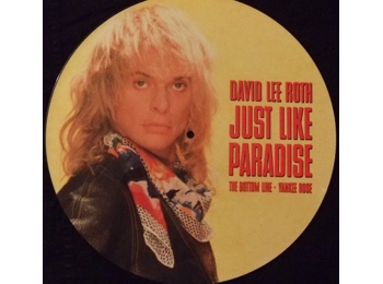 David Lee Roth ‎– Just Like Paradise - UK Limited Edition 3 Track 12" Picture Disc In PVC Sleeve c/w Hype Sticker