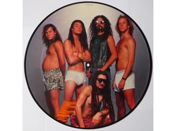 Faith No More ‎– From Out Of Nowhere - UK Limited edition 4 Track 12" Picture Disc In PVC Sleeve c/w Insert