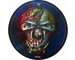 Iron Maiden – The Final Frontier - Limited Edition 2010 10 Track Picture Disc In Gatefold Sleeve