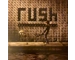 Rush – Roll The Bones - 2025 Reissue 180g 10 Track Black Vinyl