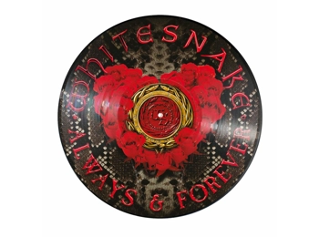 Whitesnake ‎– Always & Forever - Limited Edition 2 Track Picture Disc In PVC Sleeve