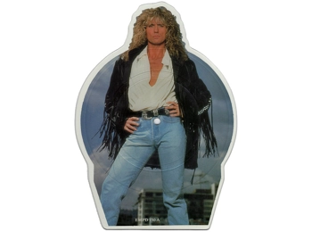 Whitesnake ‎– Now You're Gone - UK Limited Edition 2 Track 7" Shaped Picture Disc c/w Plinth & Backing Card