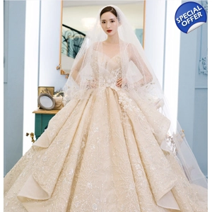 Luxury French Lace Beaded Trailing Wedding Gown.