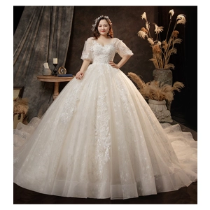 Handmade Cinderalla Floral White Short Sleeve Empire Wedding Gown