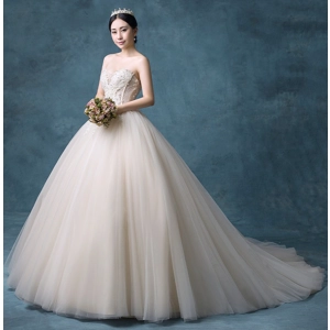 Spring/Summer French Champagne Tube Top Trailing A-Line Wedding Gown