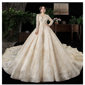 Autumn/Winter Long Sleeve Plus Size Champagne Trailing Empire Wedding Gown
