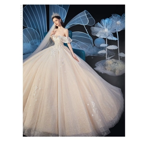 Vera wang Inspired Luxury Fairy Wedding Ball Gown.