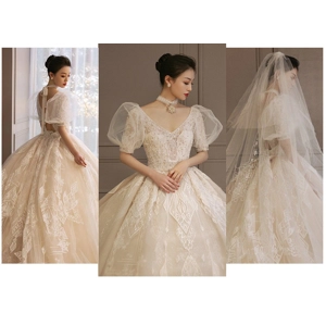 Royal Backless Champagne Full Beaded Empire Wedding Gown